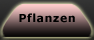 Blumen, Blüten und Natur-Nahaufnahmen.